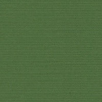 Bazzill - Orange Peel - Patch 12x12" grønn kartong