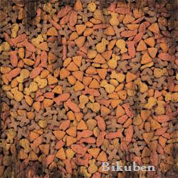 BoBunny: Cat Treats Paper