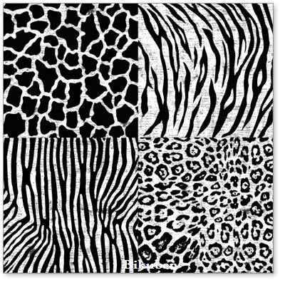 Hambly: Animal Patchwork Black Overlay