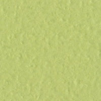 Bazzill OP  12 x 12  Green Tea grønn kartong 