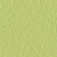 Bazzill OP  12 x 12  Green Tea grønn kartong