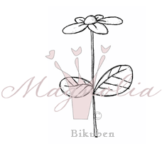 Magnolia: Marguerite