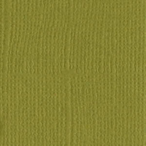 Bazzill: Pickle 8,5x11