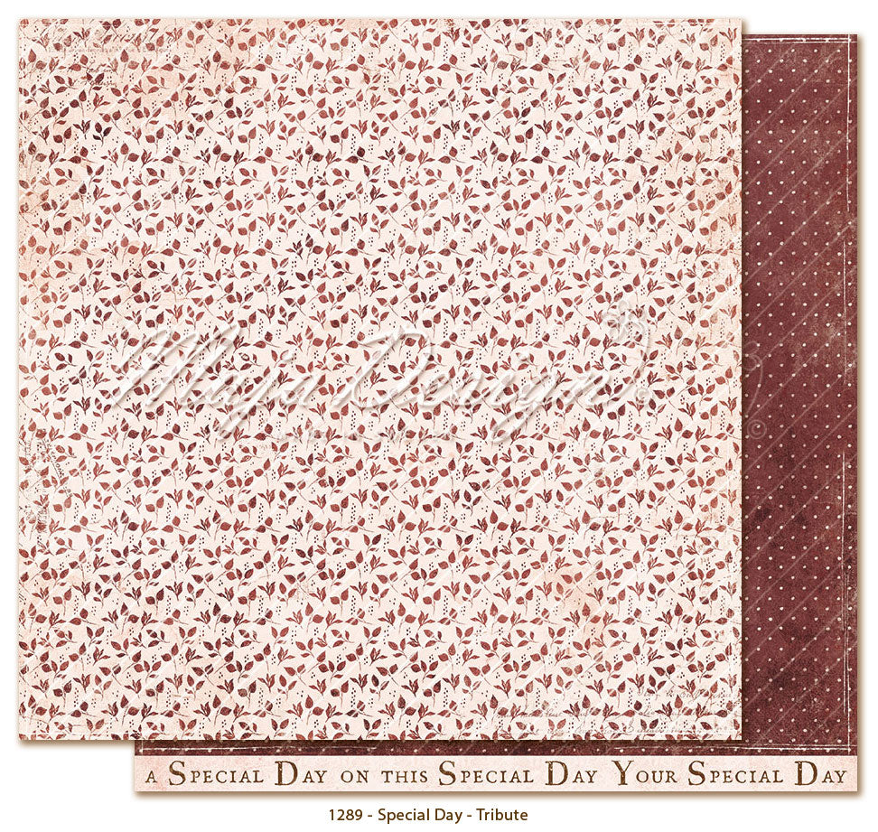 Maja Design - Special Day - Collection Pack m/monochrome ark - 12 x 12"