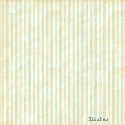 Graphic45 - Baby 2 Bride - Unforgettable 12x12"