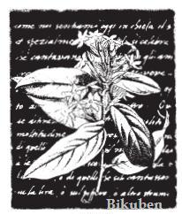 Stampers Anonymous: Basil