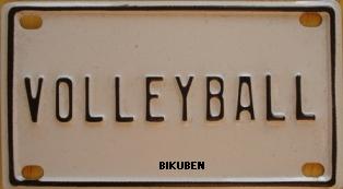 Metallskilt Volleyball