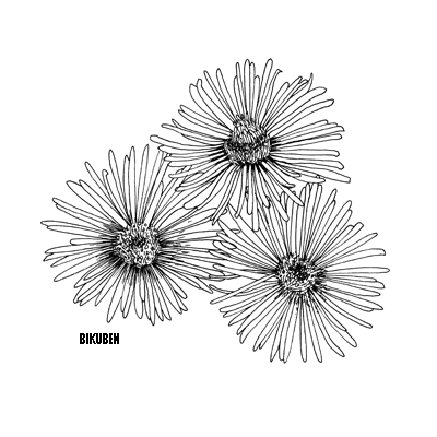 Penny Black: Sun-kissed