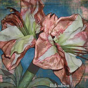 Basic Grey: Phresh & Phunky - Phancy   12 x 12"