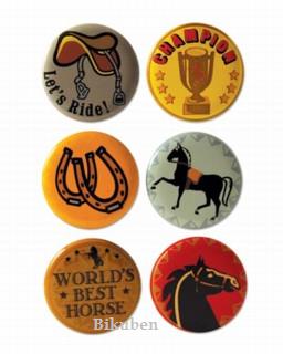 Karen Foster: Equestrian - Image Brads