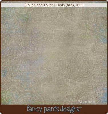 Fancy Pants: Rough and Tough - Cards Paper    12 x 12"