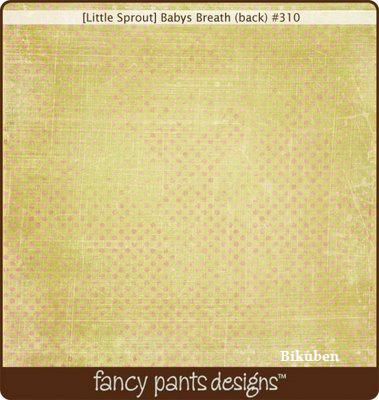 Fancy Pants: Little Sprout - Baby's Breath 12 x 12"