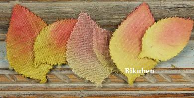 Prima: Calcutta Leaves - SAUTERNE