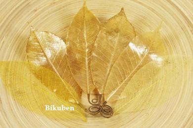 Prima: Temple Leaves - Thong Gold