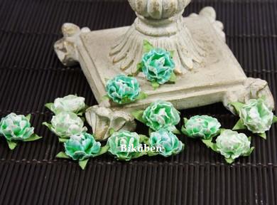 Prima: Cameo Roses - AQUA