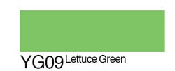 Copic Sketch: Lettuce Green    No.YG-09