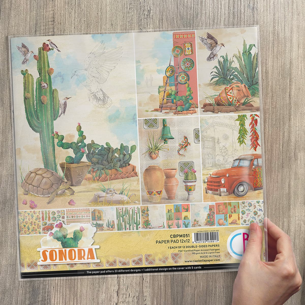 Ciao Bella - Sonora - Paper Pack (12) - 12 x 12"