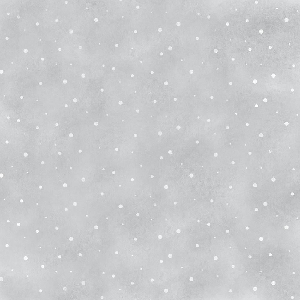 Kaisercraft - Whimsy Wishes - Falling Snow -  12 x12"