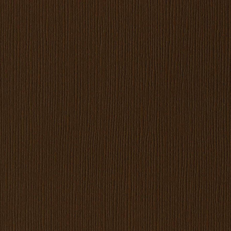 Bazzill: Grass Cloth - Suede Brown Dark brun kartong