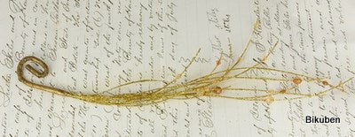 Prima Vines:   Glistering Vines GOLD