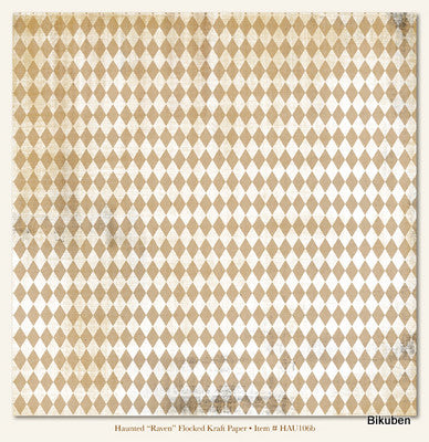 MME: Haunted - Raven Paper   12 x 12"