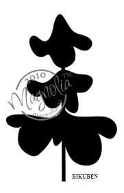 Magnolia: Smooth fir