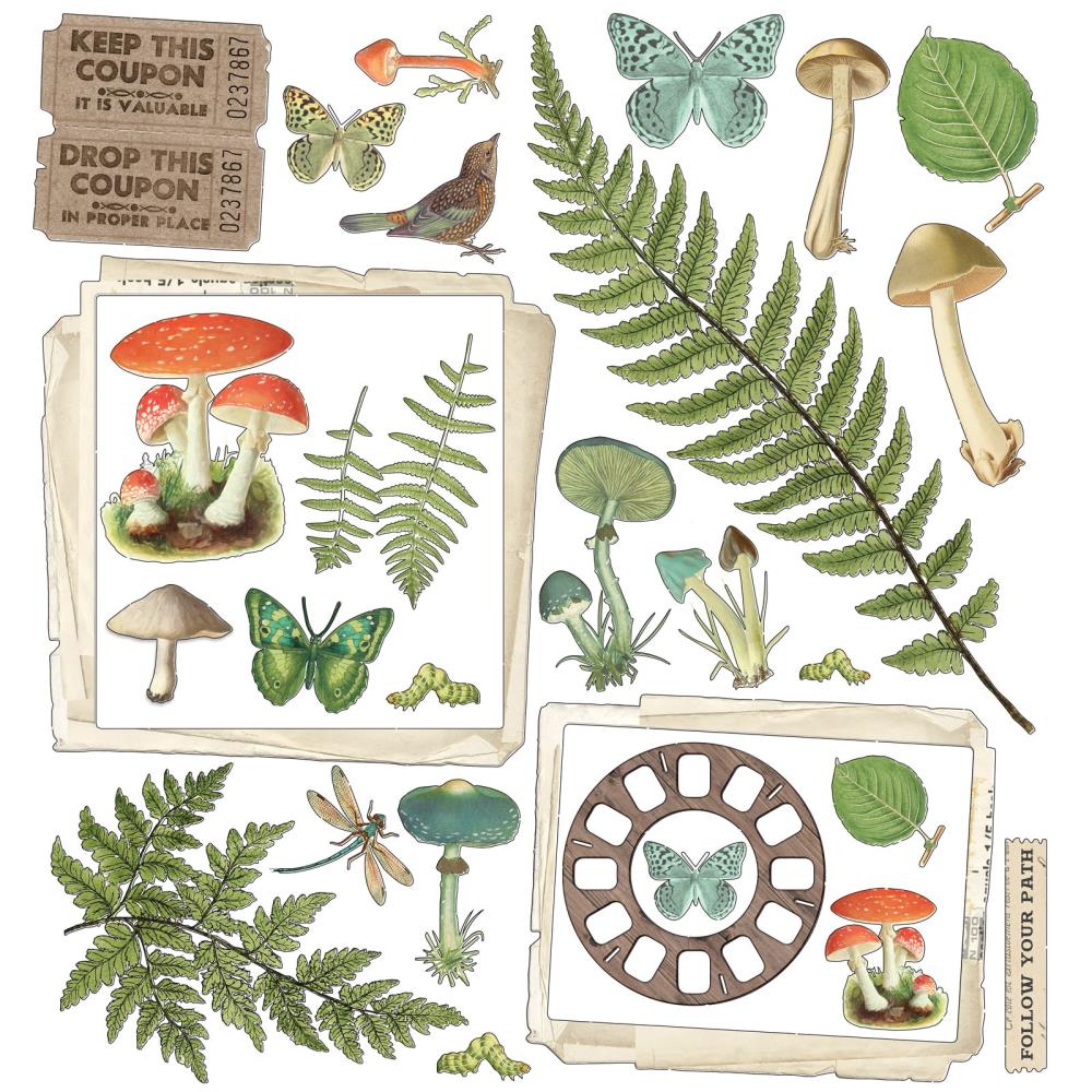 49 and Market - Vintage Artistry - Hike More Collection -   12 x 12"