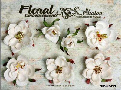 Petaloo: Canterbury Collection - Magnolia Blossoms - White