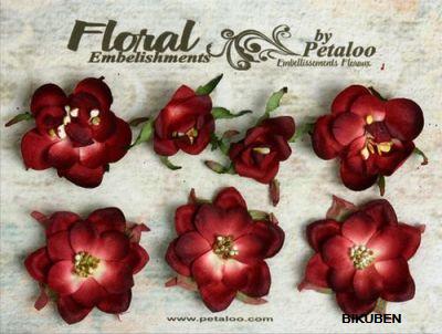 Petaloo: Canterbury Collection - Magnolia Blossoms - Burgundy