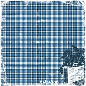 TPC Studio: Heartfelt Travel - Blue Plaid Fabric Sheet 12 x 12"