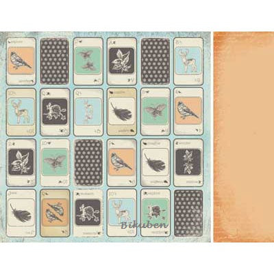 Kaisercraft: Secret Bird Society - CLASSIFIELD   12 x 12"