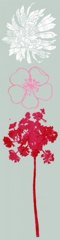 Bohemia 2 : Bliss "Make a Wish" : ACCENTS