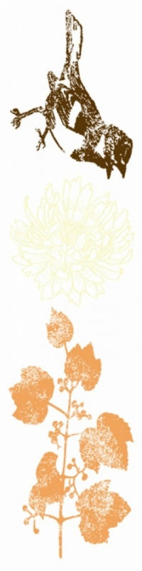 Bohemia 2 : Bungalow "You Are My Sunshine" : ACCENTS