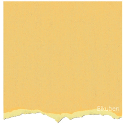 Core'dinations - Tim Holtz & Ranger - Adirondack Collection - Lemoade 12x12"
