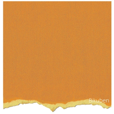 Core'dinations - Tim Holtz & Ranger - Adirondack Collection - Butterscotch 12x12"