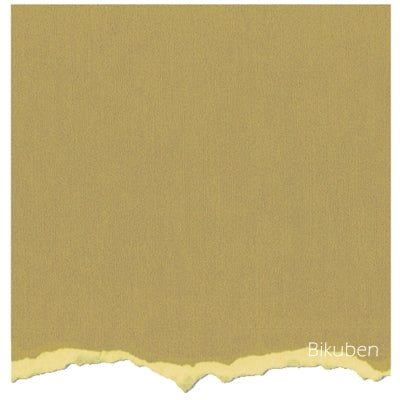 Core'dinations - Tim Holtz & Ranger - Adirondack Collection - Williow 12x12"