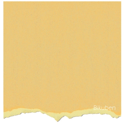 Core'dinations - Tim Holtz & Ranger - Distress Collection - Scattered Straw 12x12"