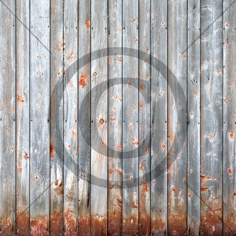 Papirdesign - Mens vi venter 2 - Furtebua  -12x12"