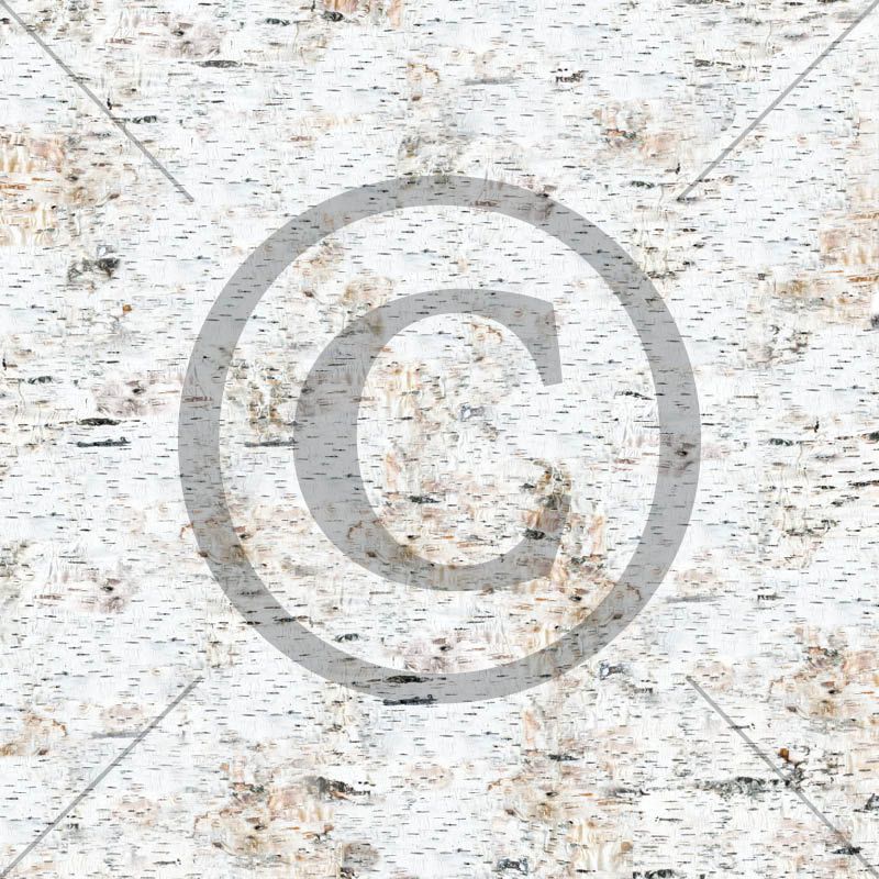 Papirdesign - Mens vi venter - Kalender 2021  12 x 12"