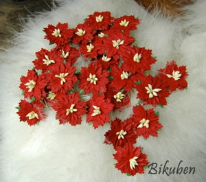 Papirdesign - Blomst - Julestjerner - rød