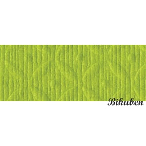 Bazzill - Two Scoops - Mint Chip 12x12"