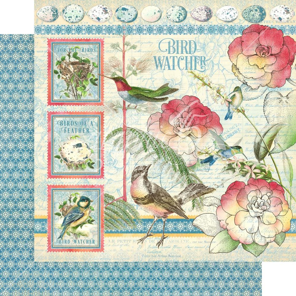 Graphic 45 - Bird Watcher - Bird Watcher