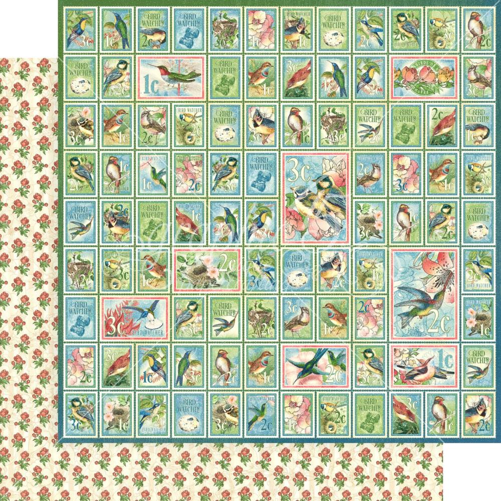 Graphic 45 - Bird Watcher - Best Friends