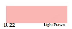 Copic Ciao - Light Prawn   No.R22
