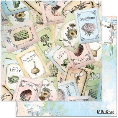 BoBunny - Country Garden - Seeds 12x12"