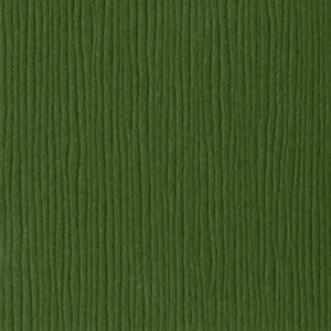 Bazzill - Grass Cloth - Rain Forest 12x12" grønn kartong