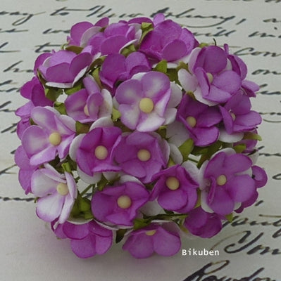 Wild Orchid - Sweetheart Blossom - Violet