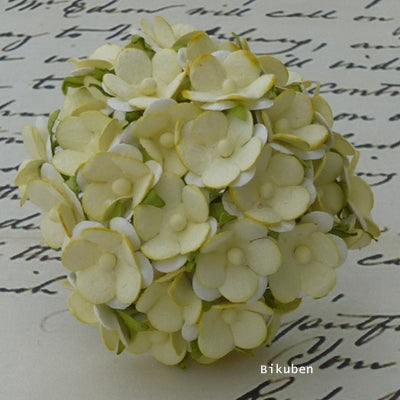 Wild Orchid - Sweetheart Blossom - Pale Yellow