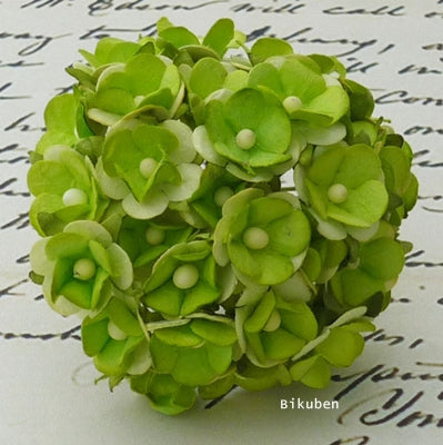 Wild Orchid - Sweetheart Blossom - Green