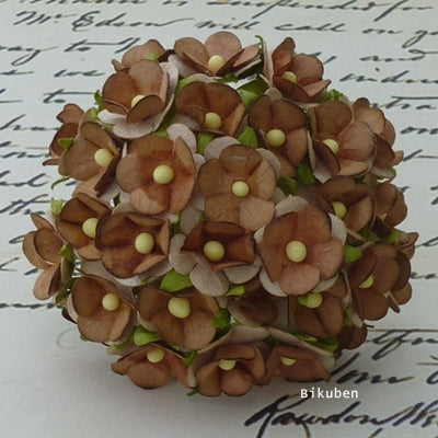 Wild Orchid - Sweetheart Blossom - Brown